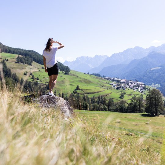 Summer in the Alps