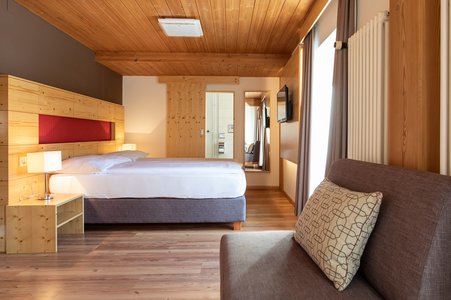 Meisser Lodge Double room with mountain view and balcony 